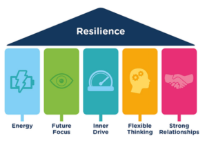 Wraw's 5 Pillars of Resilience