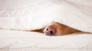 It's hard to get up some mornings