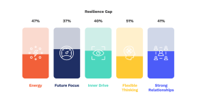 Screenshot 2022-03-09 at 10.20.13 Wraw Index t 5 Pillars of Resilience